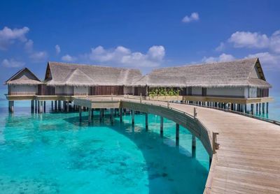 攜程上線近700條出境團(tuán)隊(duì)游產(chǎn)品，熱點(diǎn)目的地分析與行業(yè)展望